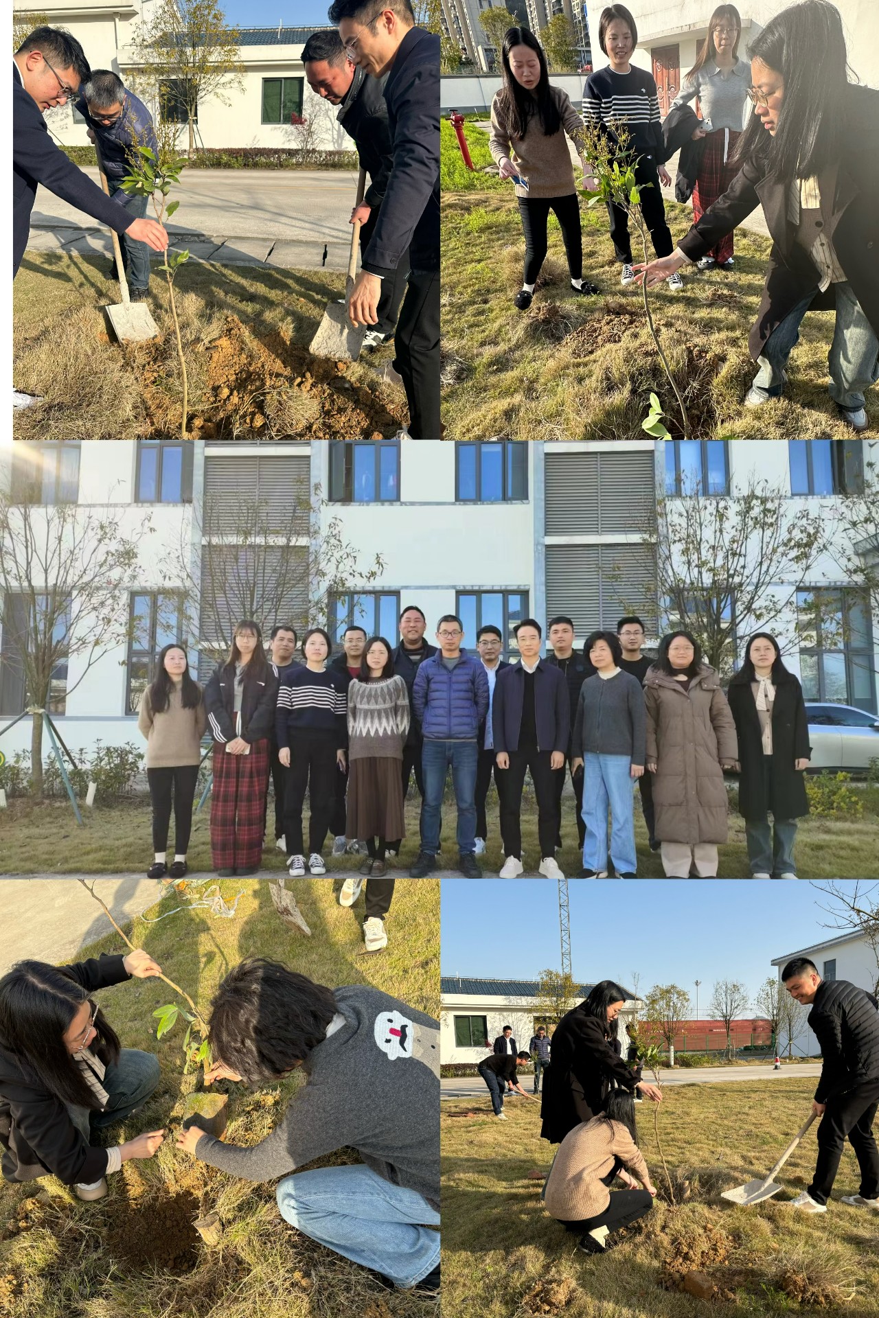 2024-3-12綠色陸港，美麗寧德，阮克妙拍攝.jpg